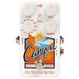 Electro-Harmonix Canyon Delay and Looper Effect Pedal Cheap