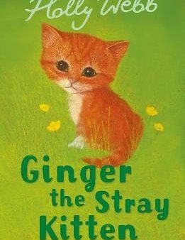 Ginger the Stray Kitten Online Sale